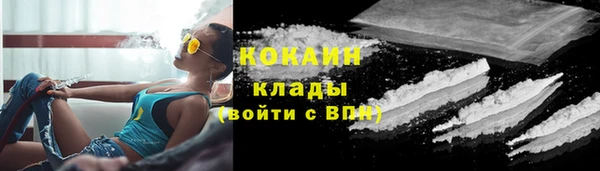 прущие грибы Каменск-Шахтинский
