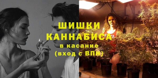 мет Каменка