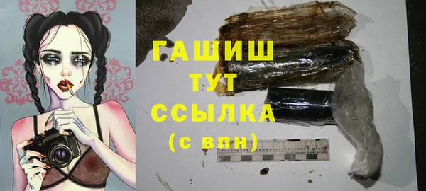 прущие грибы Каменск-Шахтинский