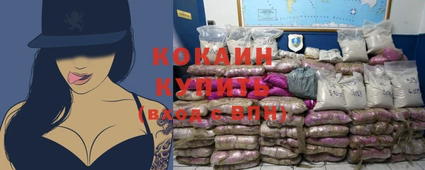 мет Каменка