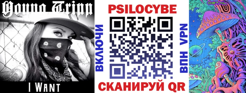 Псилоцибиновые грибы Cubensis  Лесной 
