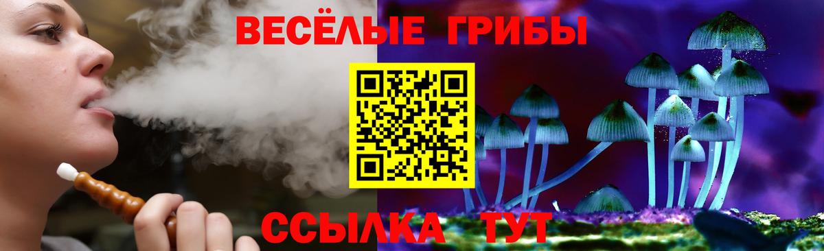 Псилоцибиновые грибы мицелий  Вход с VPN  Лесной  Псилоцибиновые грибы ЛСД 